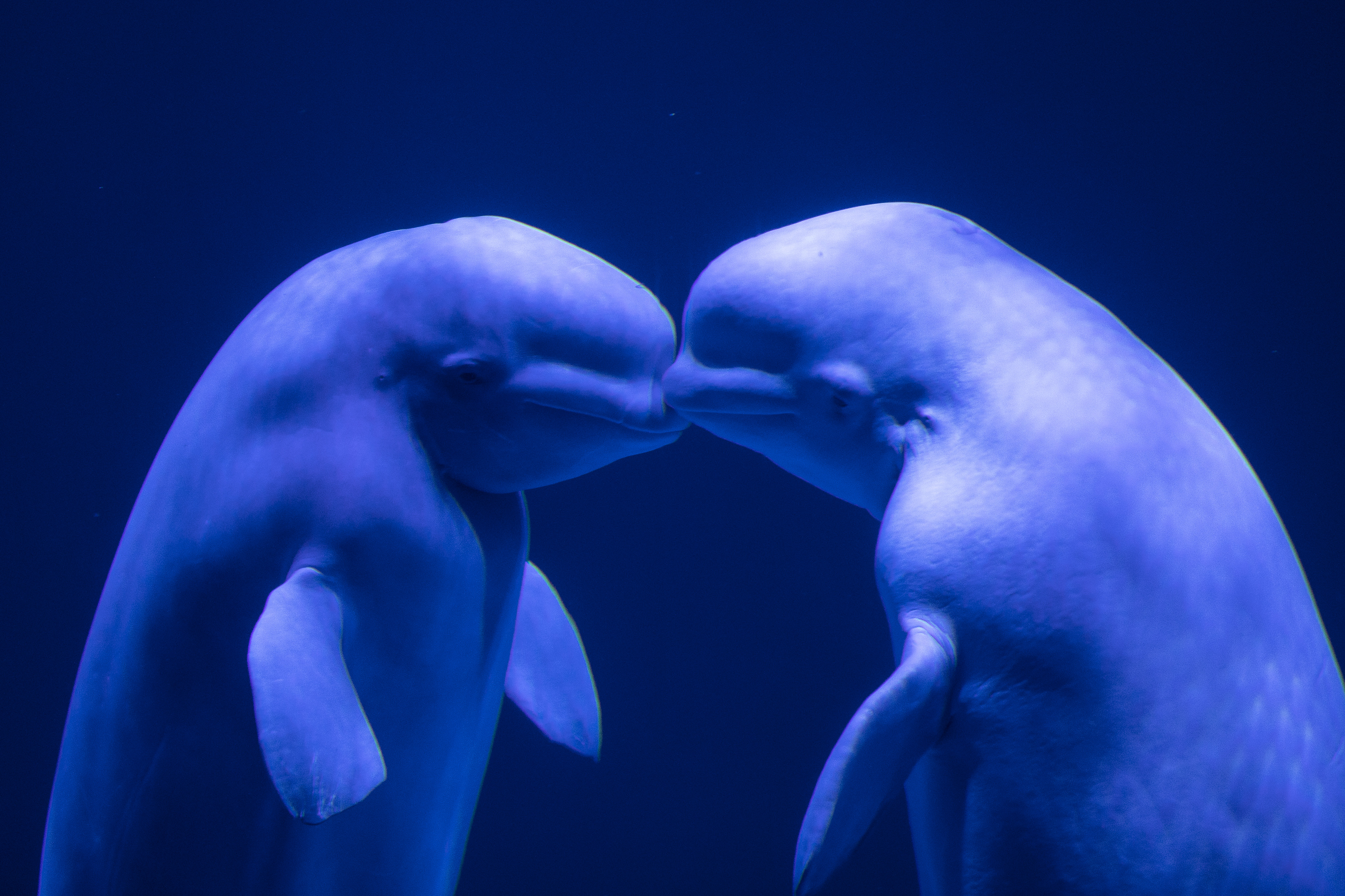 1615677369773738.jpg XxjpsgC007385_20210312_PEPFN0A001.JPG